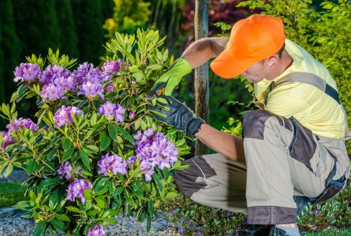 Photograph of gardener assessing a front garden
