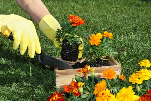 Team member reviewing a jobsheet in a garden