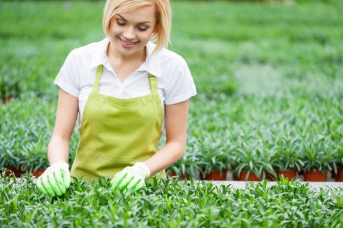 Gardening tools and raised beds with clear labels for accessibility